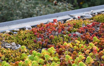 the cost of Perton green roof installation